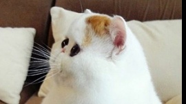 Tim Wut - Tim's One Month Rails Project