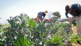 Jennifer Snyder - Farm to Fork