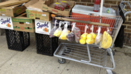 Larissa Brandao - Gilberto's Fruit Cart  
